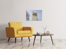 Laden Sie das Bild in den Galerie-Viewer, Leinwandbild Entspannte Katze in der Natur