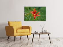 Laden Sie das Bild in den Galerie-Viewer, Leinwandbild Lilienblüte in der Natur
