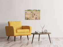 Laden Sie das Bild in den Galerie-Viewer, Leinwandbild Zarte Blumen