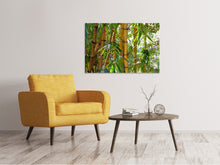 Laden Sie das Bild in den Galerie-Viewer, Leinwandbild Wilder Bambus