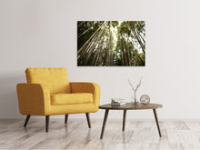 Laden Sie das Bild in den Galerie-Viewer, Leinwandbild Arashiyama Japan