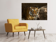 Laden Sie das Bild in den Galerie-Viewer, Leinwandbild Sibirischer Tiger