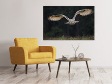 Laden Sie das Bild in den Galerie-Viewer, Leinwandbild Die Eule