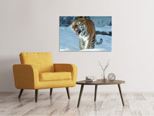 Laden Sie das Bild in den Galerie-Viewer, Leinwandbild Tiger im Schnee