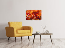 Laden Sie das Bild in den Galerie-Viewer, Leinwandbild Schönes Herbstlaub