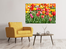 Laden Sie das Bild in den Galerie-Viewer, Leinwandbild Ein buntes Tulpenfeld