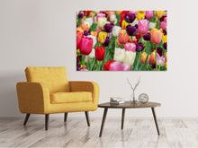 Laden Sie das Bild in den Galerie-Viewer, Leinwandbild Die Farben der Tulpen