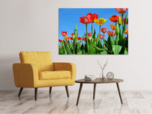 Laden Sie das Bild in den Galerie-Viewer, Leinwandbild Wilde Tulpen