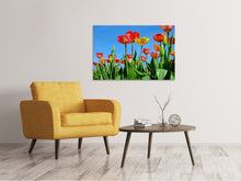 Laden Sie das Bild in den Galerie-Viewer, Leinwandbild Wilde Tulpen