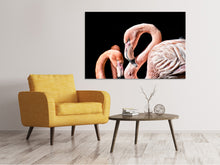 Laden Sie das Bild in den Galerie-Viewer, Leinwandbild Prächtige Flamingos