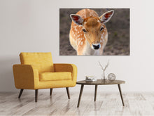 Laden Sie das Bild in den Galerie-Viewer, Leinwandbild Der Damhirsch