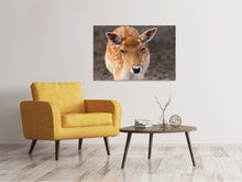 Laden Sie das Bild in den Galerie-Viewer, Leinwandbild Der Damhirsch