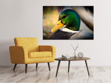 Laden Sie das Bild in den Galerie-Viewer, Leinwandbild Die Stockente