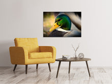 Laden Sie das Bild in den Galerie-Viewer, Leinwandbild Die Stockente
