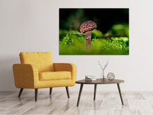 Laden Sie das Bild in den Galerie-Viewer, Leinwandbild Strobilomyces Strobilaceus