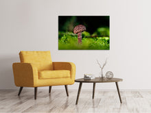 Laden Sie das Bild in den Galerie-Viewer, Leinwandbild Strobilomyces Strobilaceus