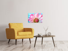 Laden Sie das Bild in den Galerie-Viewer, Leinwandbild Farbige Blume