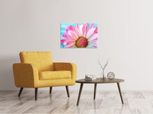 Laden Sie das Bild in den Galerie-Viewer, Leinwandbild Farbige Blume
