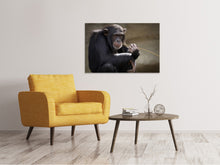 Laden Sie das Bild in den Galerie-Viewer, Leinwandbild Süsser Schimpanse