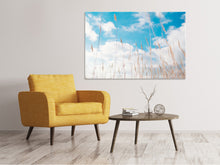 Laden Sie das Bild in den Galerie-Viewer, Leinwandbild Grashalme im Himmel
