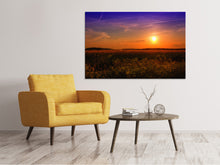 Laden Sie das Bild in den Galerie-Viewer, Leinwandbild Sonnenuntergang am Blumenfeld