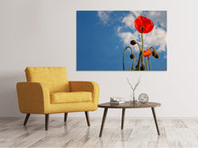Laden Sie das Bild in den Galerie-Viewer, Leinwandbild Prächtiger Mohn