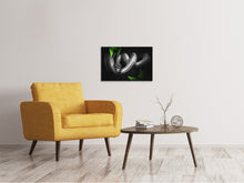 Laden Sie das Bild in den Galerie-Viewer, Leinwandbild Achtung Schlange