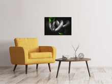 Laden Sie das Bild in den Galerie-Viewer, Leinwandbild Achtung Schlange