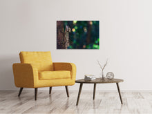 Laden Sie das Bild in den Galerie-Viewer, Leinwandbild Die Eidechse