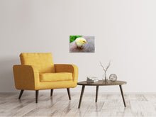 Laden Sie das Bild in den Galerie-Viewer, Leinwandbild Das Küken