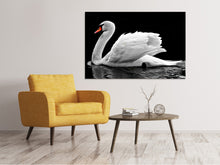 Laden Sie das Bild in den Galerie-Viewer, Leinwandbild Der anmutige Schwan