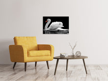 Laden Sie das Bild in den Galerie-Viewer, Leinwandbild Der anmutige Schwan