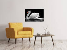 Laden Sie das Bild in den Galerie-Viewer, Leinwandbild Der anmutige Schwan