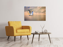 Laden Sie das Bild in den Galerie-Viewer, Leinwandbild Die fliegende Möwe