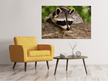 Laden Sie das Bild in den Galerie-Viewer, Leinwandbild Der süsse Waschbär