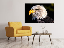 Laden Sie das Bild in den Galerie-Viewer, Leinwandbild Der Adler Kopf