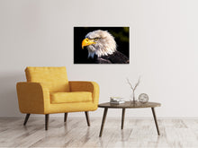 Laden Sie das Bild in den Galerie-Viewer, Leinwandbild Der Adler Kopf