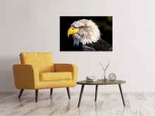 Laden Sie das Bild in den Galerie-Viewer, Leinwandbild Der Adler Kopf