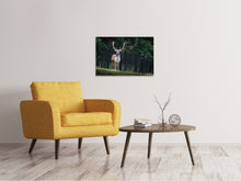 Laden Sie das Bild in den Galerie-Viewer, Leinwandbild Der Damhirsch 2