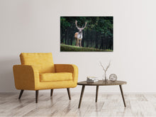 Laden Sie das Bild in den Galerie-Viewer, Leinwandbild Der Damhirsch 2