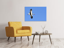 Laden Sie das Bild in den Galerie-Viewer, Leinwandbild Der Storch in Aktion