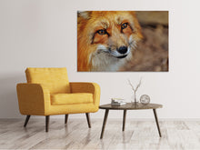 Laden Sie das Bild in den Galerie-Viewer, Leinwandbild Der Fuchs