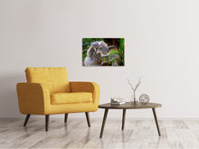 Laden Sie das Bild in den Galerie-Viewer, Leinwandbild Mama und Baby Koala