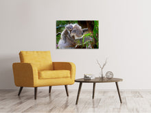 Laden Sie das Bild in den Galerie-Viewer, Leinwandbild Mama und Baby Koala