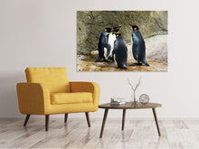 Laden Sie das Bild in den Galerie-Viewer, Leinwandbild König Pinguine