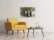 Laden Sie das Bild in den Galerie-Viewer, Leinwandbild König Pinguine