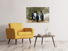 Laden Sie das Bild in den Galerie-Viewer, Leinwandbild König Pinguine