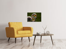 Laden Sie das Bild in den Galerie-Viewer, Leinwandbild Prächtiger Vogel