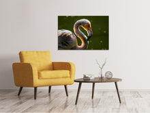 Laden Sie das Bild in den Galerie-Viewer, Leinwandbild Prächtiger Vogel