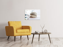 Laden Sie das Bild in den Galerie-Viewer, Leinwandbild Das Igel Baby